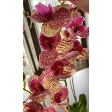 Cserepes orchidea rózsaszín-cirmos 60-65 cm – élethű dekoráció