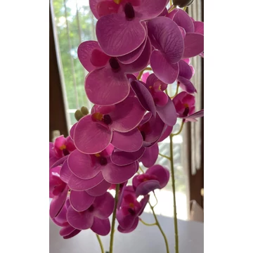 Cserepes orchidea pink 60-65 cm – élethű gondozásmentes dekoráció