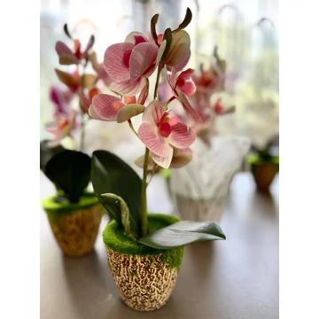 Cserepes orchidea rózsaszín 28 cm – élethű gondozásmentes dekoráció