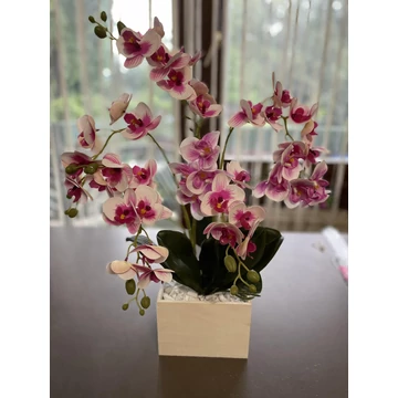 Orchidea bokor fehér-rózsaszín fadobozban 8 szálas 40-45 cm – élethű dekoráció