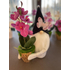 Tavaszi Manó | Cserepes Orchideával| Fekete(30-35CM)