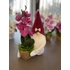 Tavaszi Manó | Cserepes Orchideával| Bordó(30-35CM)