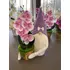 Tavaszi Manó | Cserepes Orchideával| lila(30-35CM)