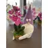 Tavaszi Manó | Cserepes Orchideával| lila(30-35CM)
