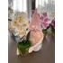 Tavaszi Manó |Cserepes Orchideával | Rózsaszín (rózsasz. szakáll,30-35CM)